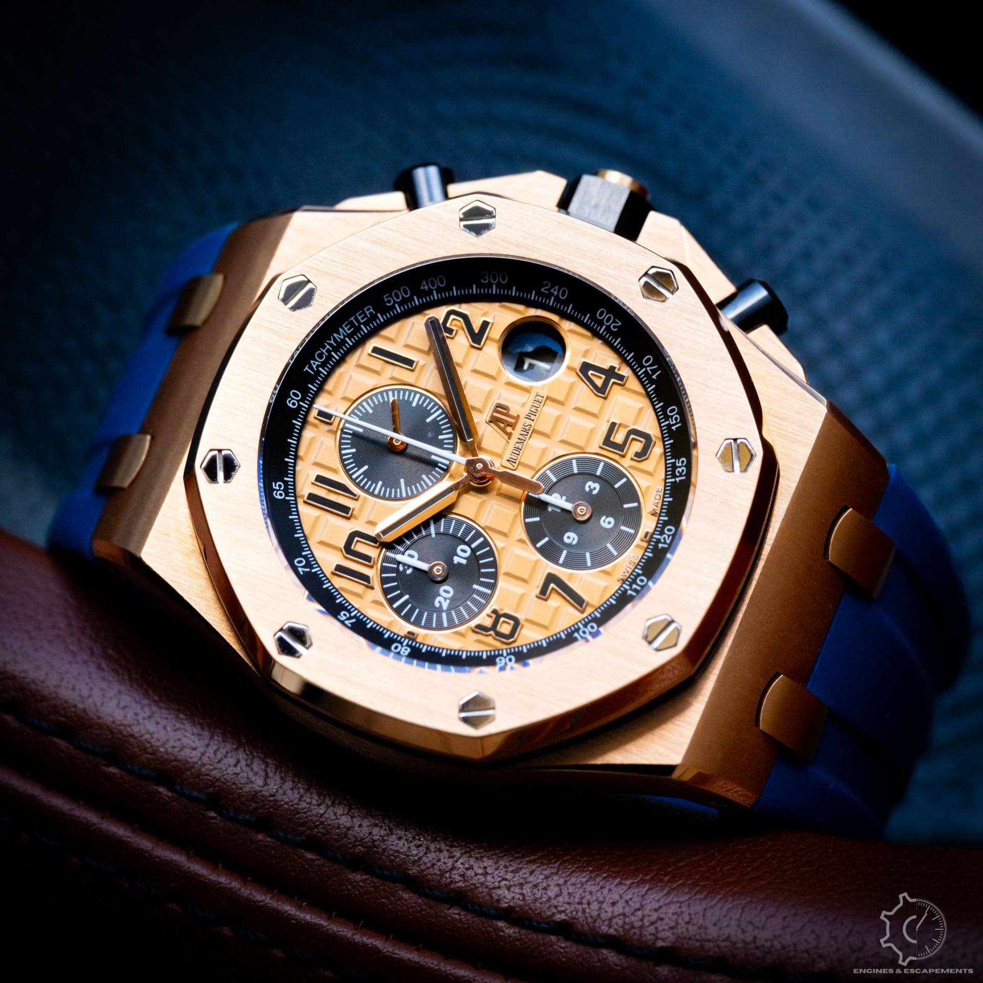 DSC03247.jpg